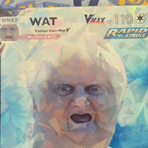 Wat lady Meme Pokemon Card - Picture 5 of 10